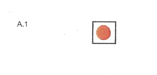 Figure 1 in § 10.01 of the RheinSchPV
