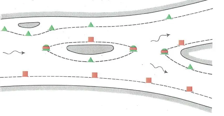 Figure 8 in Anlage 8 of the RheinSchPV